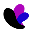 ProxyLite